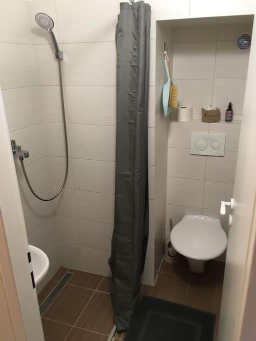 Hradcany Apartment With Green Energy プラハ エクステリア 写真