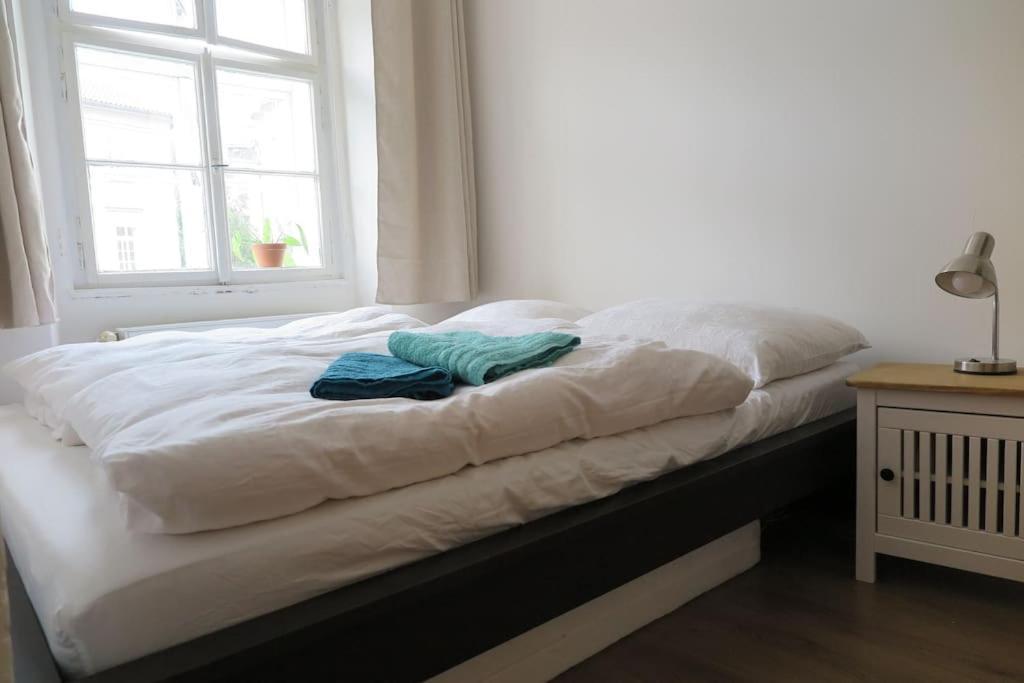 Hradcany Apartment With Green Energy プラハ エクステリア 写真